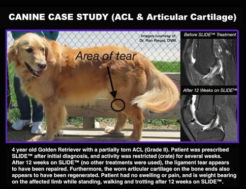 Show full view: SLIDE ha+ Advanced Joint Lubrication Hyaluronic Acid UCII Collagen Joint Supplement for Dogs, 11-oz jar slide 4 of 5