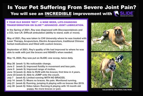 Show full view: SLIDE ha+ Advanced Joint Lubrication Hyaluronic Acid UCII Collagen Joint Supplement for Dogs, 11-oz jar slide 3 of 5