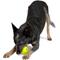 Show in main carousel: Chew King by Mammoth Collection Supreme Tough Ball Dog Toy, Green, 3-in, 8 count slide 9 of 11