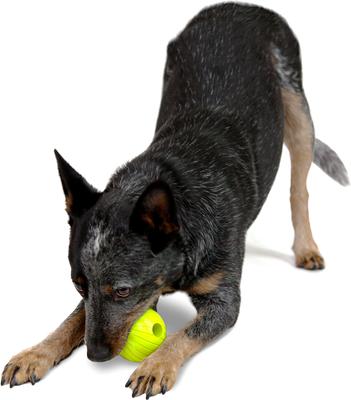 Show full view: Chew King by Mammoth Collection Supreme Tough Ball Dog Toy, Green, 3-in, 8 count slide 9 of 11