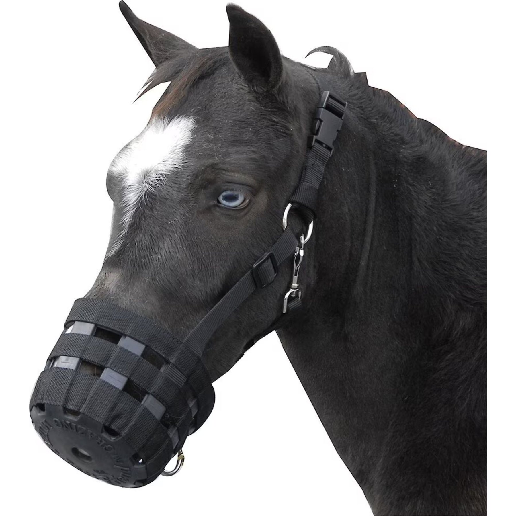 Best Friend Deluxe Grazing Horse Muzzle, Cob