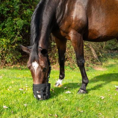 Show full view: Best Friend Deluxe Grazing Horse Muzzle, Cob slide 3 of 7