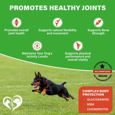 Show full view: Beloved Pets Glucosamine Bacon Flavored Chews Hip & Joint Support Supplement for Dogs, 10-oz bag slide 3 of 9