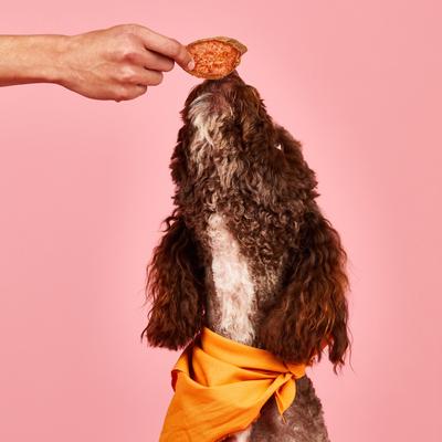 Show full view: Barkful Sweet Potato Slices Human Grade Adult Dehydrated Dog Treats, 4-oz bag slide 5 of 7