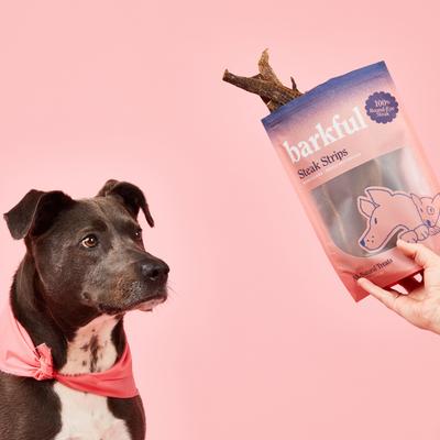 Show full view: Barkful Steak Strips Human Grade Adult Dehydrated Dog Treats, 4-oz bag slide 5 of 7