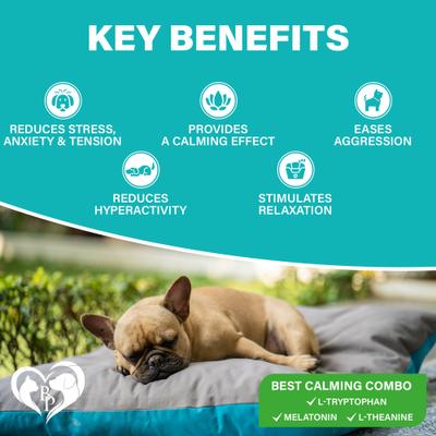 Show full view: Beloved Pets Melatonin Bacon Flavored Chews Calming Supplement for Dogs, 10-oz bag slide 3 of 8