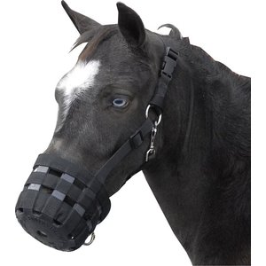 Best Friend Deluxe Grazing Horse Muzzle, Mini