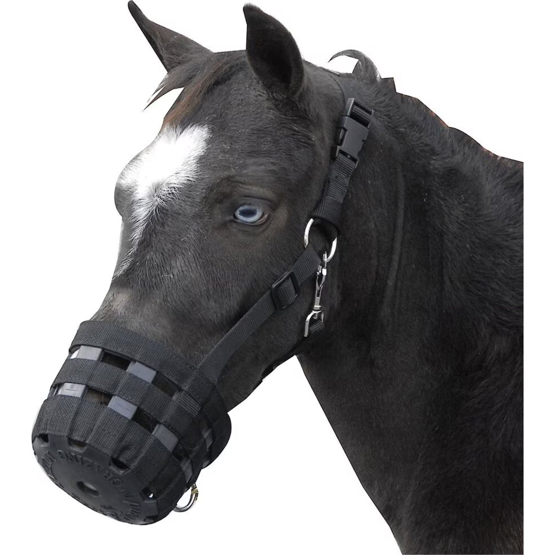 Best Friend Deluxe Grazing Horse Muzzle, Pony