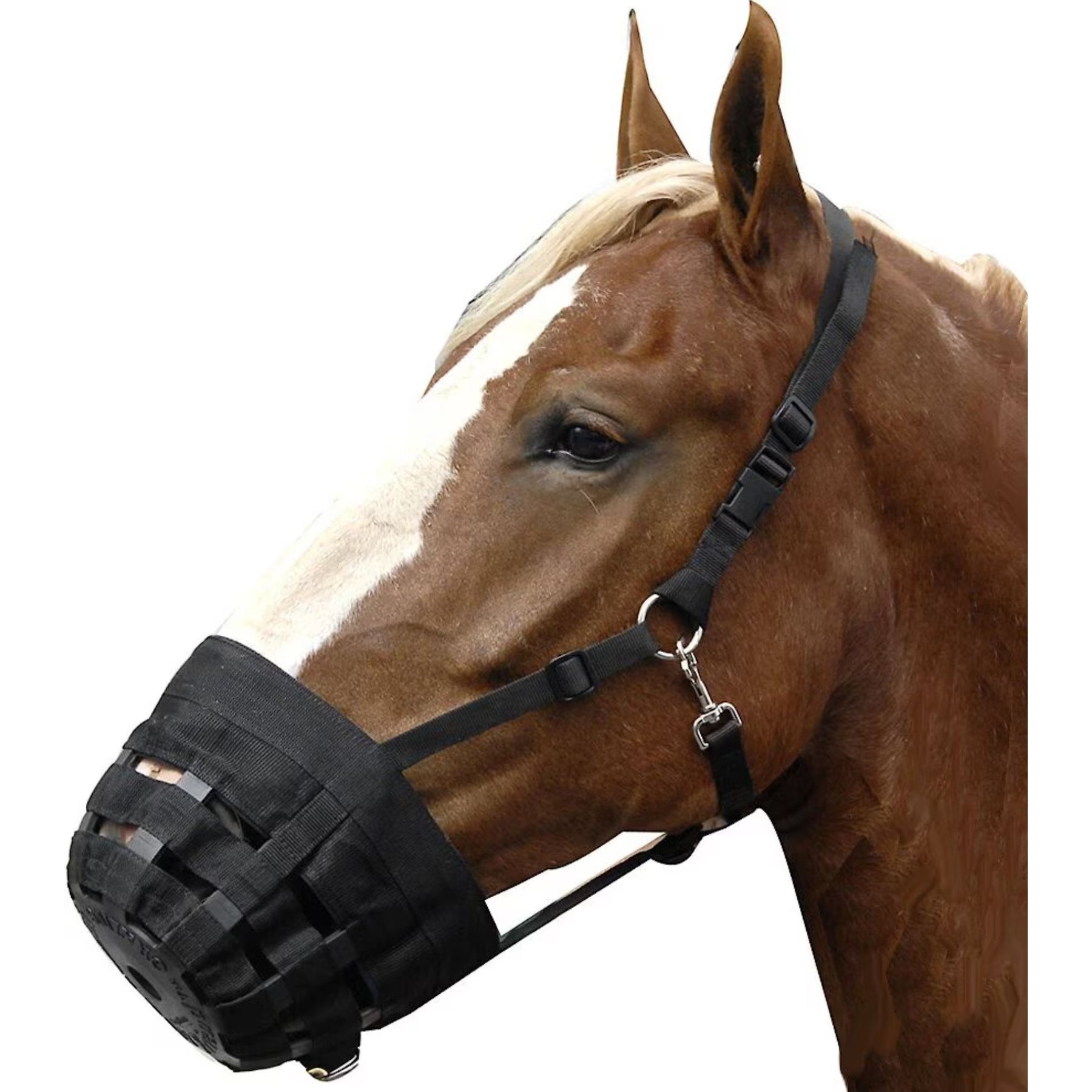 Best Friend Deluxe Grazing Horse Muzzle, Draft