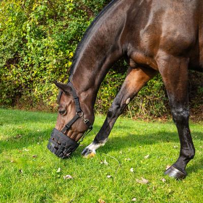 Show full view: Best Friend Deluxe Grazing Horse Muzzle, Oversize  slide 2 of 7