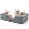 Show in main carousel: Bedsure Orthopedic Bolster Dog Sofa Bed with Removable Cover, Self Warming-Grey, Small slide 1 of 11