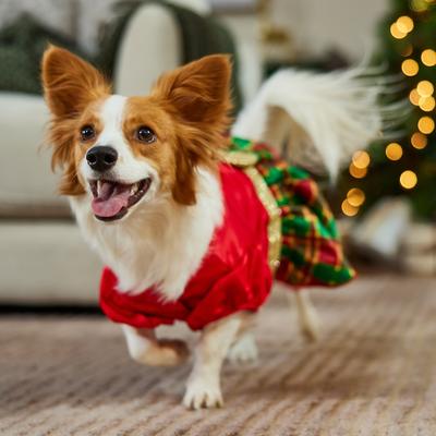 Show full view: Frisco Red & Green Plaid Dog & Cat Dress, Medium slide 5 of 8