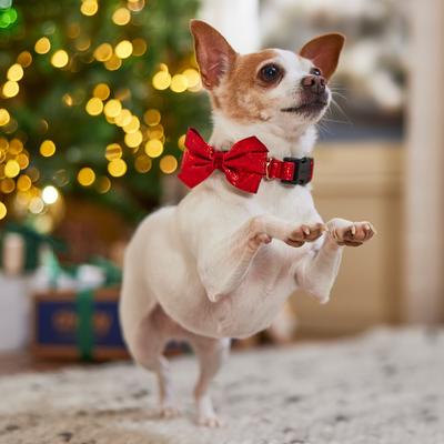 Show full view: Frisco Glitter Dog Collar with Removable Glitter Bow, Red, XS - Neck: 8-12-in, Width: 5/8-in slide 6 of 7