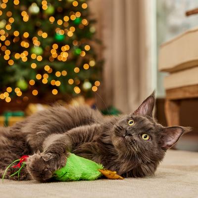 Show full view: Frisco Holiday Christmas Tree Plush Kicker Cat Toy with Catnip slide 4 of 7