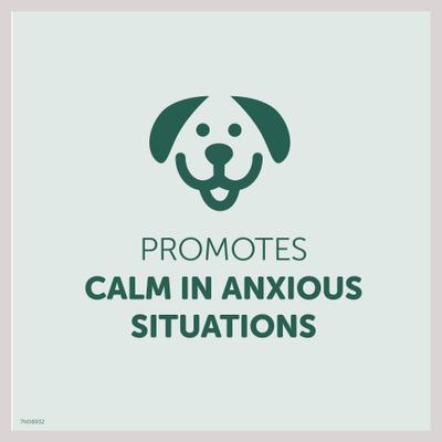 Show full view: Healthfuls Calming Support Chicken Recipe Dog Treats, 12-oz bag, bundle of 2 slide 7 of 9