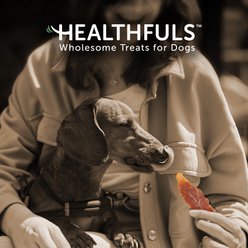 Healthfuls Chicken Tenders Dog Treats, 11-oz bag, bundle of 2 slide 2 of 7