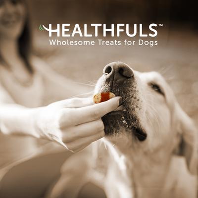 Show full view: Healthfuls Chicken & Peanut Butter Biscuit Wraps Dog Treats, 16-oz bag, bundle of 2 slide 9 of 10