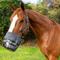 Show in main carousel: Best Friend Deluxe Grazing Horse Muzzle & Padded Leather Crown, Draft slide 3 of 7