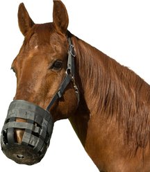 Best Friend Deluxe Grazing Horse Muzzle & Padded Leather Crown, Draft