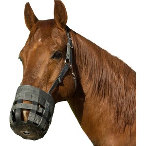 Best Friend Deluxe Grazing Horse Muzzle & Padded Leather Crown, Draft