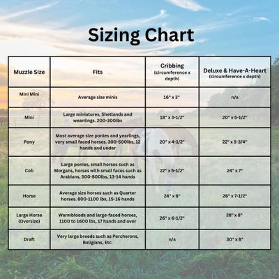 Show full view: Best Friend Deluxe Grazing Horse Muzzle & Padded Leather Crown, Draft slide 6 of 7