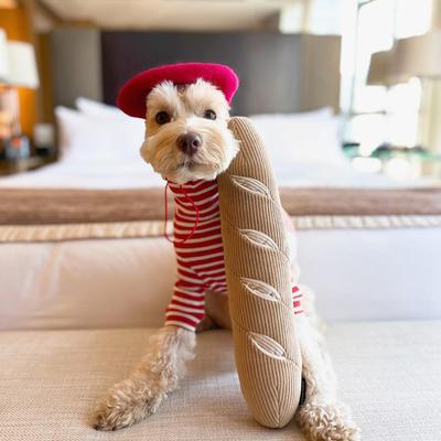 Show full view: CHEWFFON Baguette Interactive Enrichment Puzzle Squeaky Dog Plush Toy, Brown slide 5 of 6