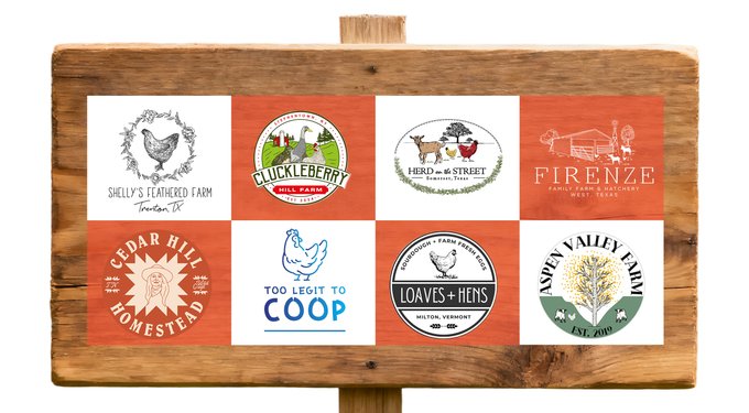 COOHGRUBS Dried Black Soldier Fly Larvae Bird Treat