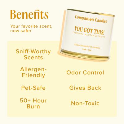 Show full view: Companion Candles You Got This! Tropical Nectar & Florals Scented Pet-Friendly Candle, 11.8-oz jar slide 4 of 9