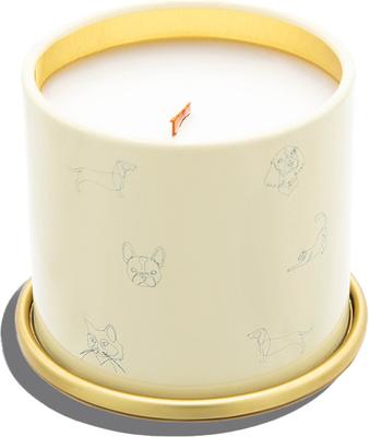 Show full view: Companion Candles You Got This! Tropical Nectar & Florals Scented Pet-Friendly Candle, 11.8-oz jar slide 3 of 9