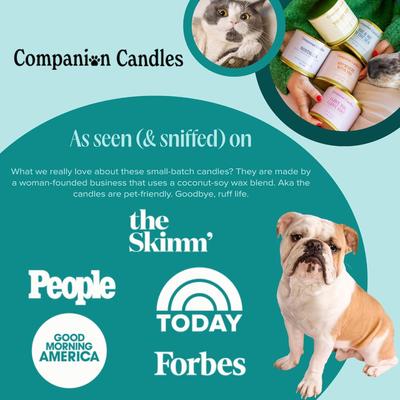 Show full view: Companion Candles You Got This! Tropical Nectar & Florals Scented Pet-Friendly Candle, 11.8-oz jar slide 6 of 9