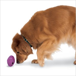 PetSafe Busy Buddy Twist 'n Treat Treat Dispenser Dog Toy, Large