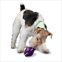 PetSafe Busy Buddy Twist 'n Treat Treat Dispenser Dog Toy, Medium
