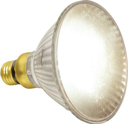 Show full view: Zoo Med Repti Tuff Splashproof Halogen Reptile Terrarium Lamp, 90 W slide 2 of 7