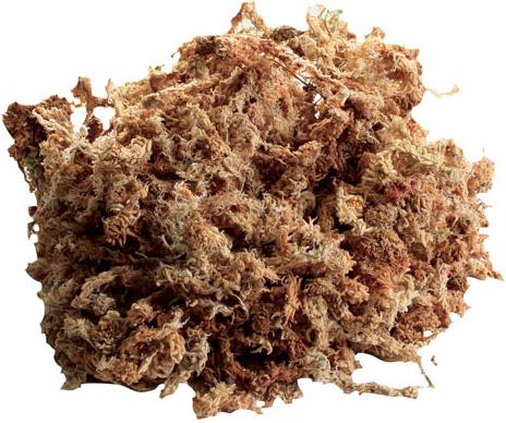 Show full view: Zoo Med New Zealand Sphagnum Moss Reptile Substrate, 80-in slide 2 of 9