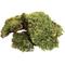 Show in main carousel: Zoo Med All Natural Frog Moss, 80-in slide 2 of 8
