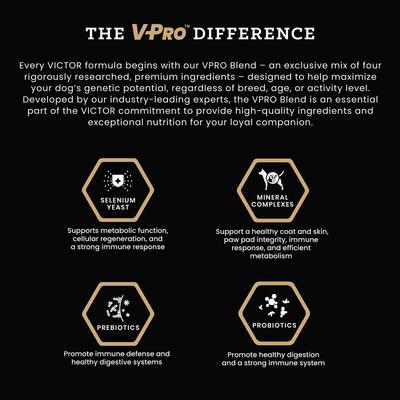 Show full view: VICTOR Grain-Free Chicken Meal & Sweet Potato Recipe Dry Dog Food, 30-lb bag slide 5 of 12