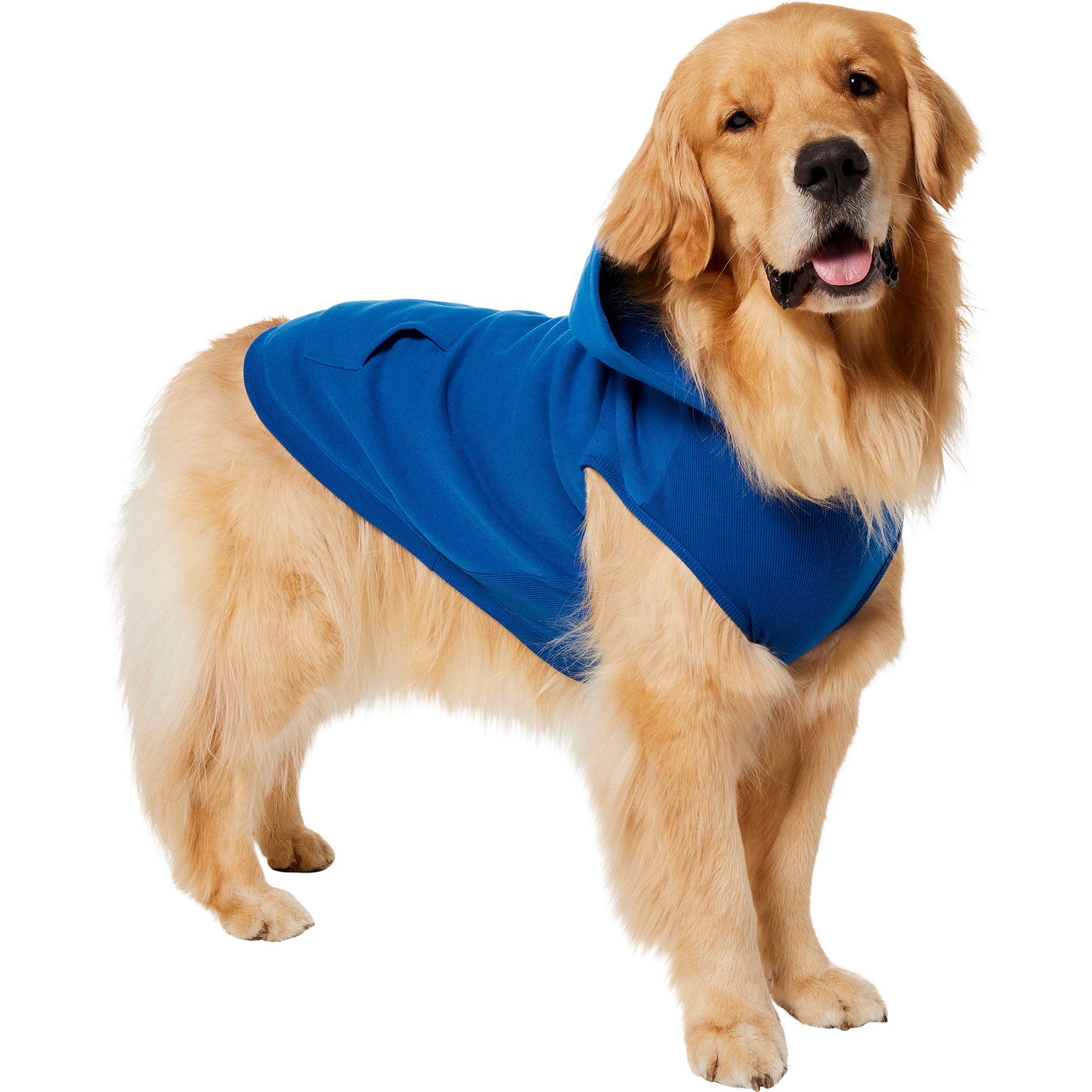 Frisco Basic Dog & Cat Hoodie, Navy, XXX-Large