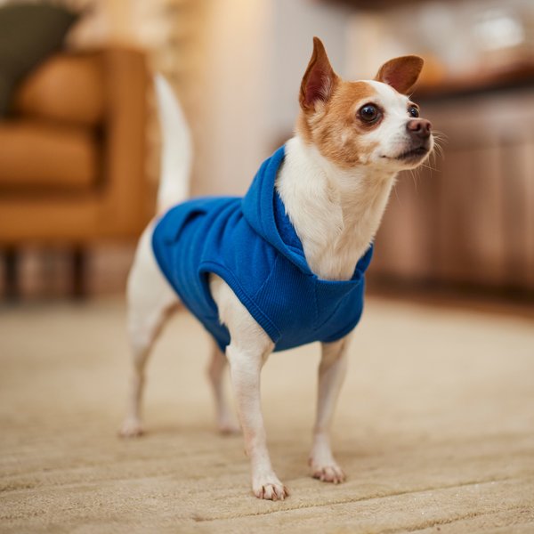 Show full view: Frisco Basic Dog & Cat Hoodie, Navy, X-Small slide 7 of 10