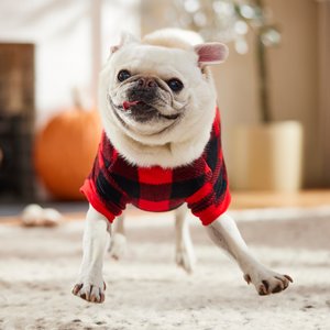 Frisco Dog & Cat Cozy Polar Fleece PJs, Red Plaid, Medium