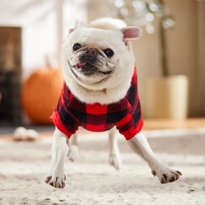 Show full view: Frisco Dog & Cat Cozy Polar Fleece PJs, Red Plaid, Medium slide 5 of 7