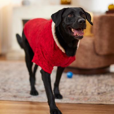 Show full view: Frisco Textured Knit Dog & Cat Hoodie, Heather Red, XXX-Large slide 8 of 9