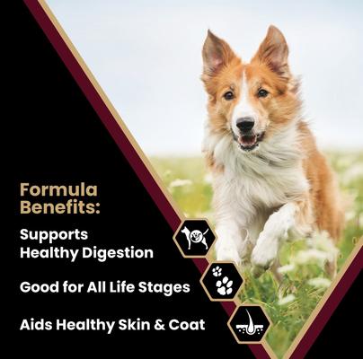 Show full view: VICTOR Gluten-Free Lamb Meal & Brown Rice Dry Dog Food, 15-lb bag slide 3 of 12