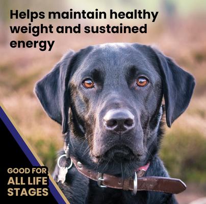 Show full view: VICTOR Gluten-Free Beef Meal & Brown Rice Dry Dog Food, 5-lb bag slide 6 of 12