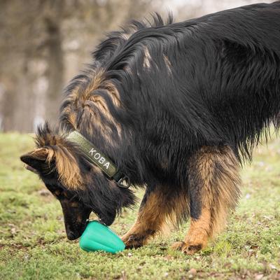 Show full view: Chew King by Mammoth Premium Extremely Durable Natural Rubber Tough Treat Dog Chew Toy, Green, 2 count, X-Large slide 6 of 9