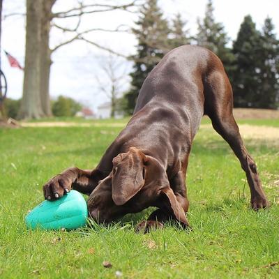 Show full view: Chew King by Mammoth Premium Extremely Durable Natural Rubber Tough Treat Dog Chew Toy, Green, 2 count, X-Large slide 7 of 9