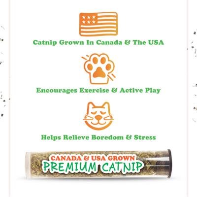 Show full view: Meowijuana Sprinkle 'n' Scratch Taco Scratcher Cat Toy slide 5 of 6