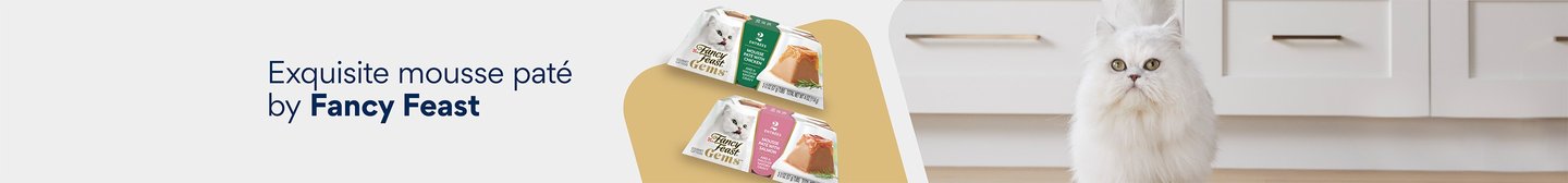 Exquisite mousse pate by Fancy Feast