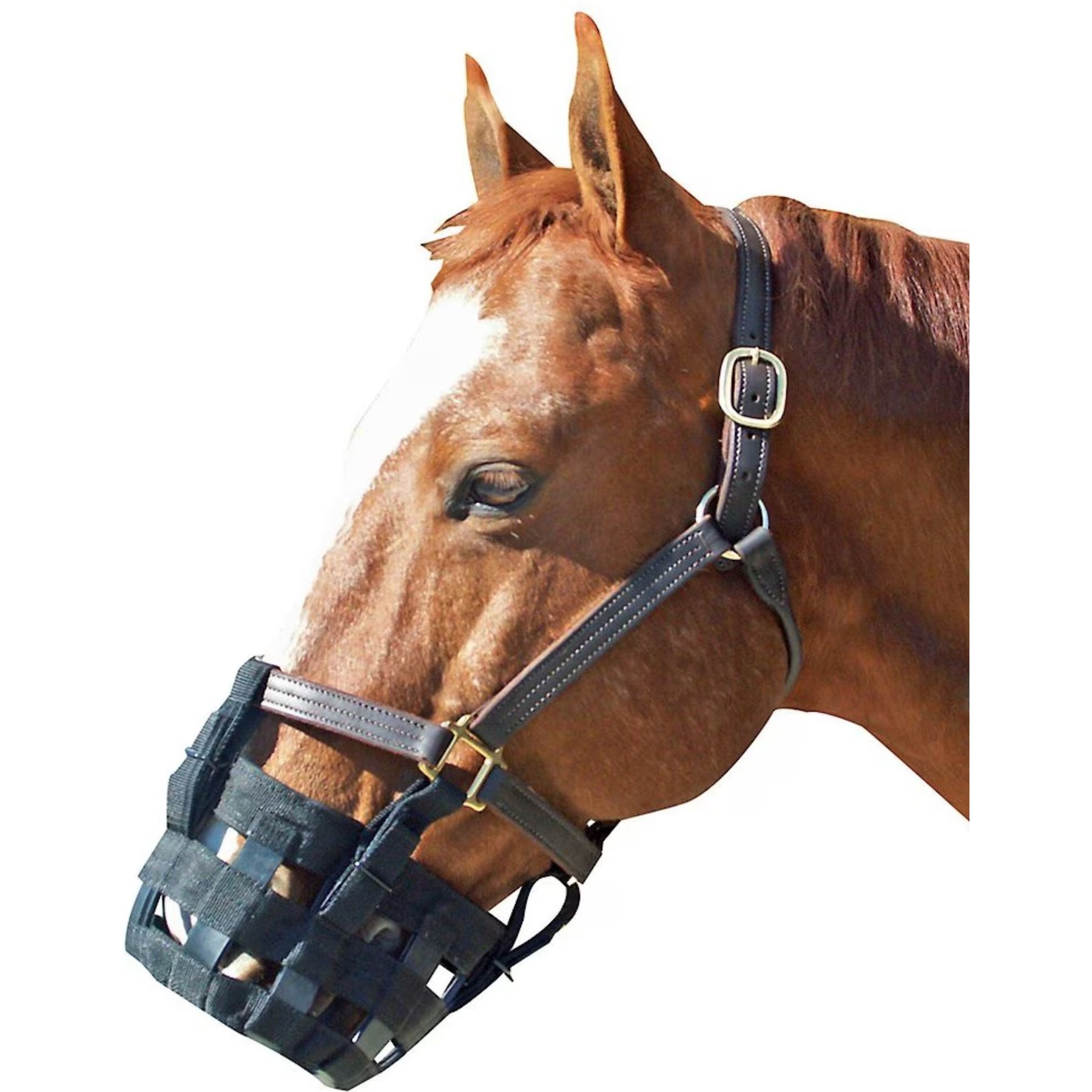 Best Friend Standard Grazing Horse Muzzle, Pony