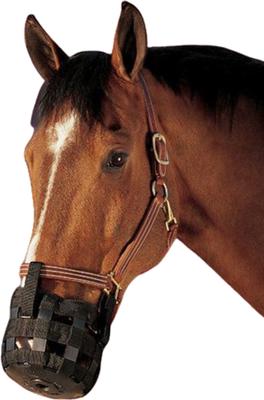 Show full view: Best Friend Standard Grazing Horse Muzzle, Horse slide 3 of 6