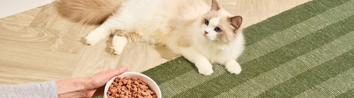 Freshpet Vital for Cats